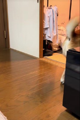 去り行く姿にクスッ