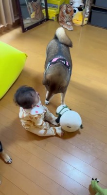 「これで大丈夫そう?」