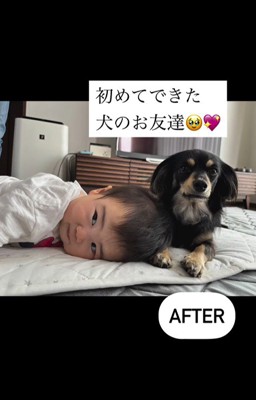 赤ちゃんとワンちゃんの初対面⑩