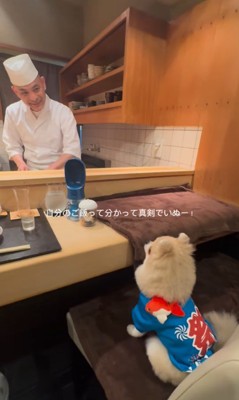 お店で食事するむぎくん3