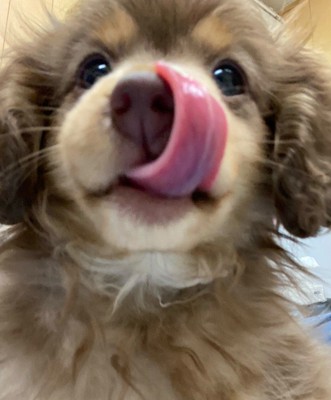確かにそっくり…♪