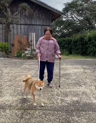 歩調を合わせて歩いてる！！