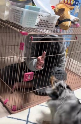 パパが助けを求めるも…