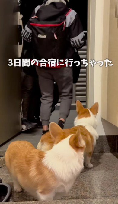 息子さんの合宿…