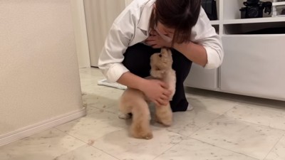 お礼を言う小殿くん