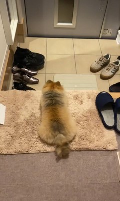 むぎちゃんが帰りを待っています!