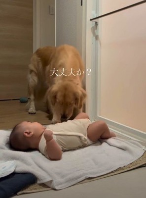 お守りなんてできるかな？