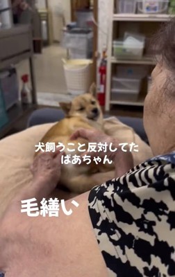 こむぎちゃんとおばあちゃん