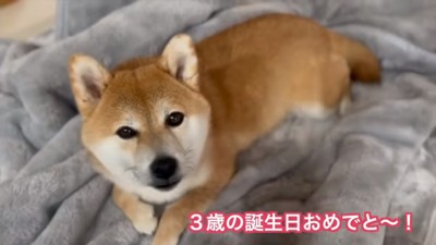 3歳になったひまりちゃん