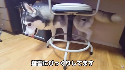 落雷にびっくり!!