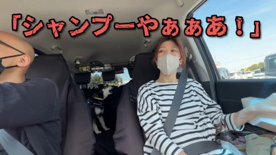 「シャンプーする気だ!いやァ~!!」