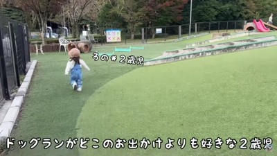 わんこに囲まれて暮らすろのちゃん