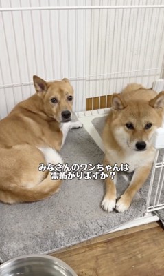 震えも止まりました