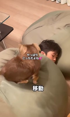 遊び疲れて寝るアムくんと男の子6