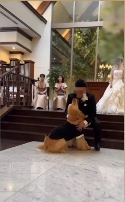 リングドッグに挑戦するジャックくん6