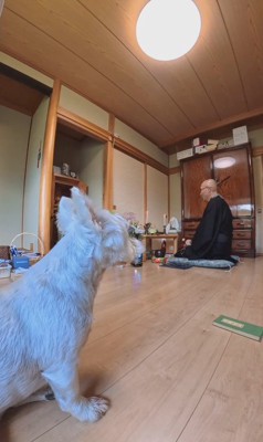 真面目に修行に励むメイちゃん