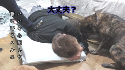 再び様子を見にきたハルヱちゃん