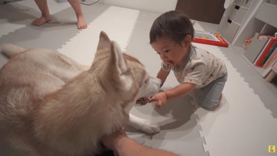 お姉ちゃんとも上手に遊ぶ