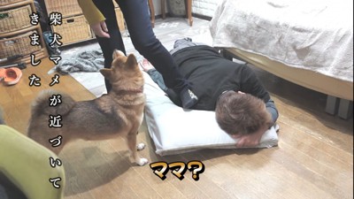 マメちゃんがきてくれました