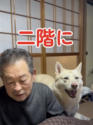 渾身のおねだり！