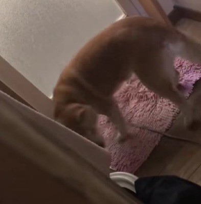 「いったん諦めるか…」