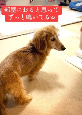 「え？」