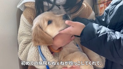 病院も連れていったよ