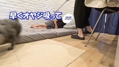 やっぱり置き去りにされるパパさん(笑)