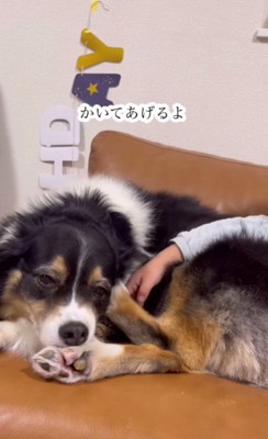 素直で優しい愛の表現