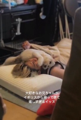 甘え攻撃のワンコ