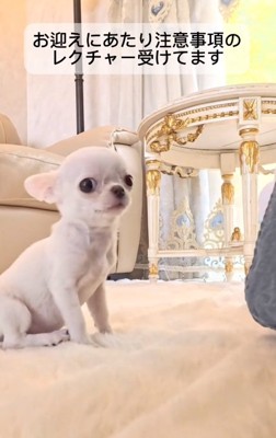 レクチャーを受ける投稿主さん