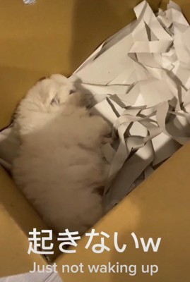 またすぐにウトウト