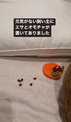 2匹の愛に包まれて…