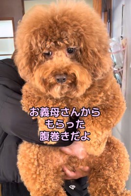 正解を伝えると…