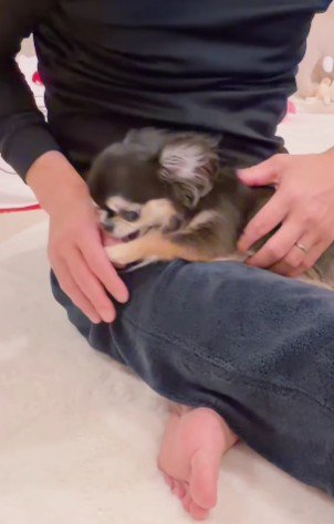 寝たくないえびちゃんは…