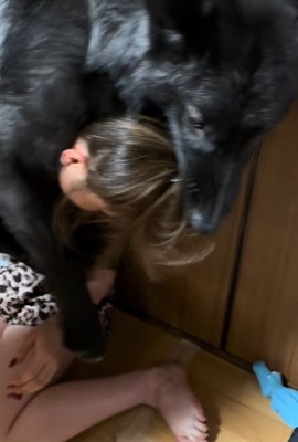 飼い主さんにじゃれるアピスくん