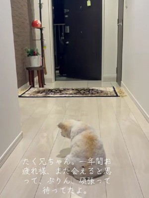 この日、訪れたのは…