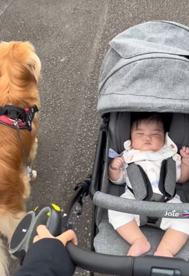 一緒にお散歩♪