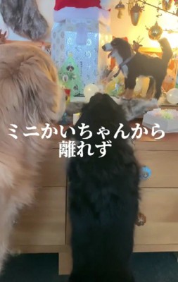 人形の傍から離れない