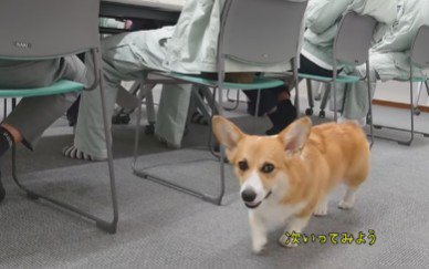 いそいそと移動して…