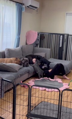 大きくなっても…