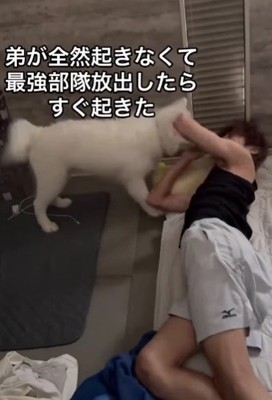 目覚ましを頼まれた郷敦ちゃん