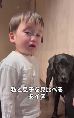 ママと男の子の機嫌を伺うどん兵衛ちゃん