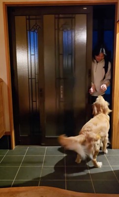 飼い主さんが帰宅