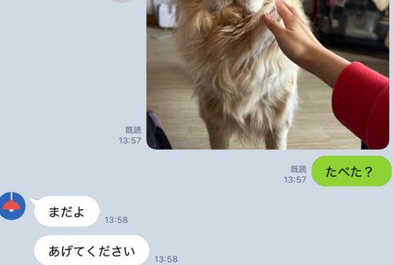 「ご飯食べた？」