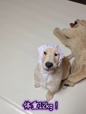 53日後の姿にびっくり！！