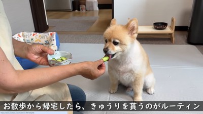 おばあちゃんが食べさせてくれます