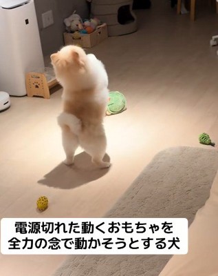 「お願い!動いて!」
