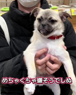 抱っこが嫌そう…