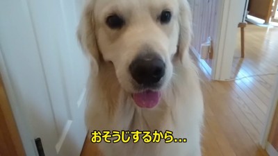 その場にお座り